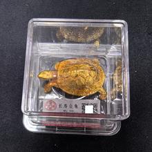 ��ˇƷ�¹ż��~�̽������L�۽����u��������F�k���ҹ�ˇƷ�[��