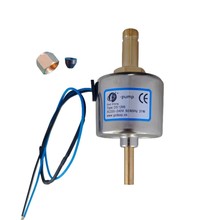 DS1200  高质量植物油炉具电磁泵   甲醇炉具电磁泵  蒸汽清洗机