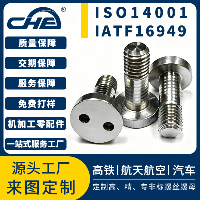Non-Standard 304 Stainless Steel Two-Hole Anti-Theft Screws, Round Head Two-Hole High-Strength Screws, Screw Processing According to Drawings