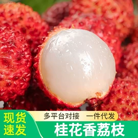 块茎类;其他水果;苹果