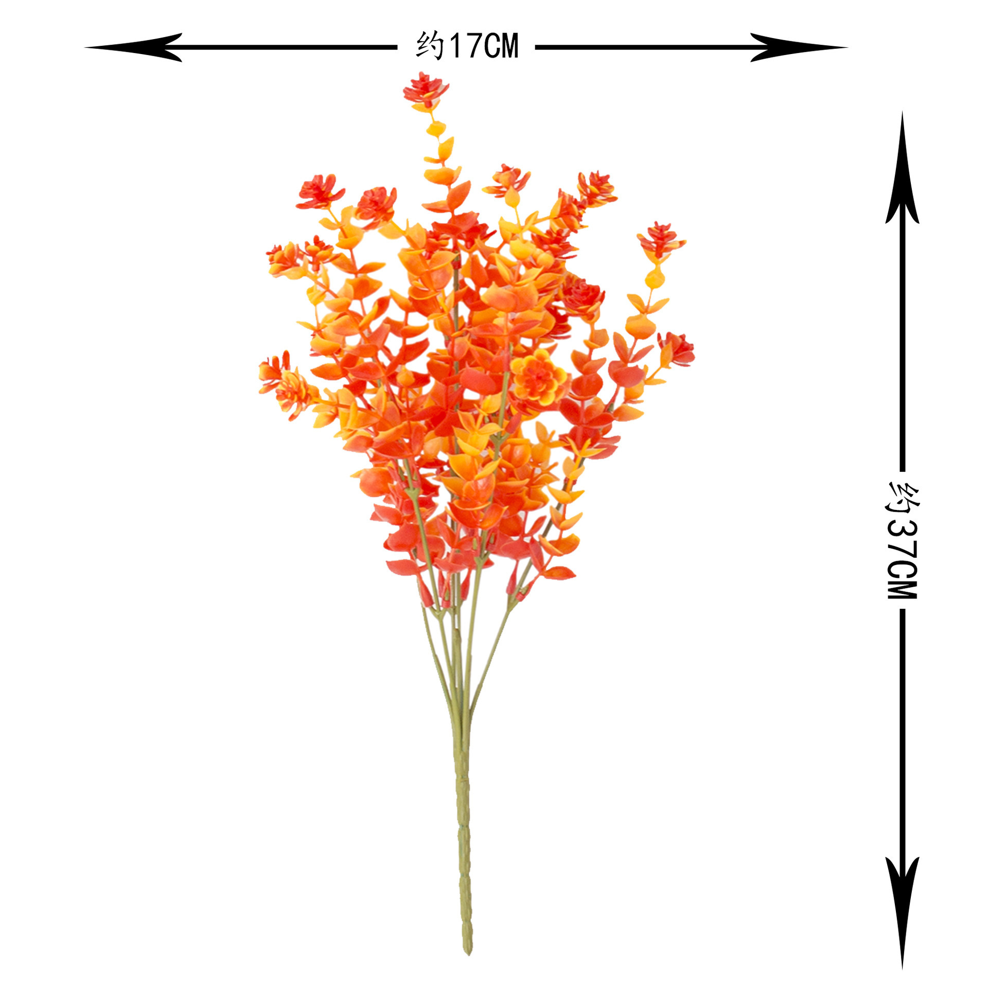 중형 유칼립투스 동백 7개 - 가을 오렌지