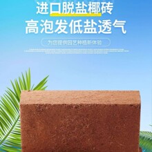��ͥ�@ˇҬ���uҬ�����I�B��ͨ�����B���N�ˌ��������Nֲ��Ҭ����