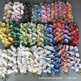 ����9�^�����m��c�������廨�ֹ����h�bٻ��ҾӔ[�����l