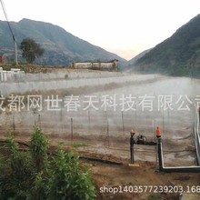 四川凉山州奶油果(牛油果)种苗繁育基地智能水肥一体化灌溉系统