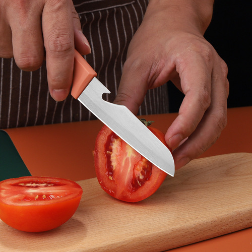 Hongdalimei stainless steel knife kitchen household fruit and vegetable cutting knife portable compact candy-colored fruit knife