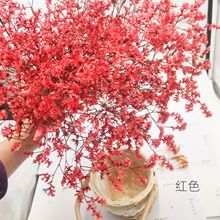 ˮSһrҾb廨ˇcˮ