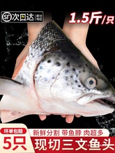 三文鱼头新鲜冷冻超大深海鱼头三文鱼边角料人吃烧烤煲汤海鲜水产