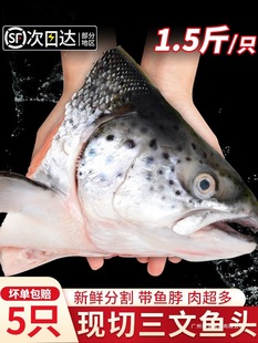 �����~�^���r���������~�^�����~߅�����˳ԟ����Ҝ����rˮ�a