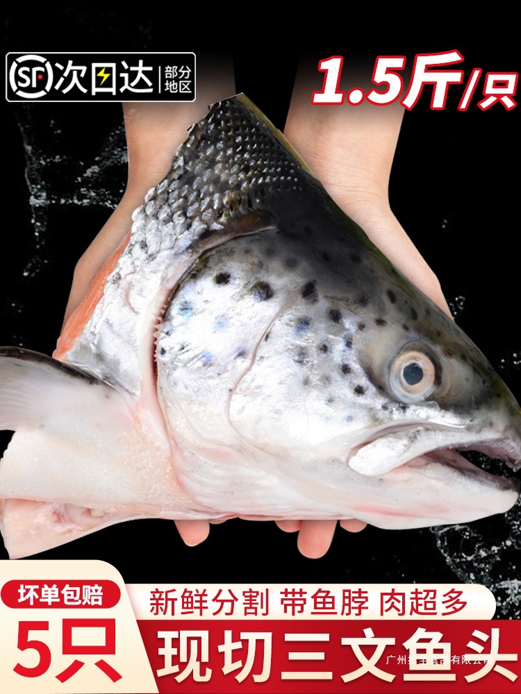 三文鱼头新鲜冷冻超大深海鱼头三文鱼边角料人吃烧烤煲汤海鲜水产