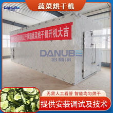 蔬菜烘干机 水果蔬菜木耳豆角清洗脱水烘干生产线 蔬菜干烘干设备