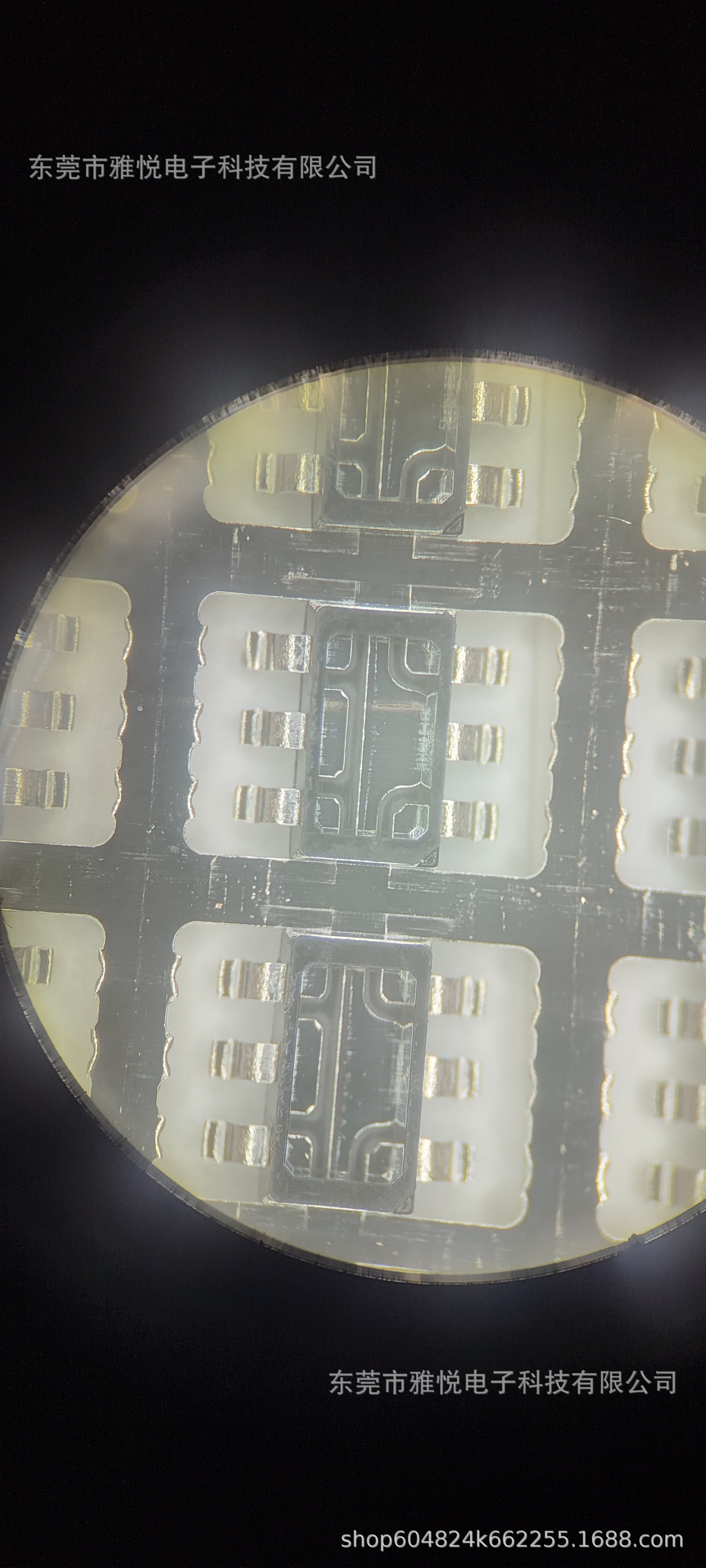 微信图片_20241112095540