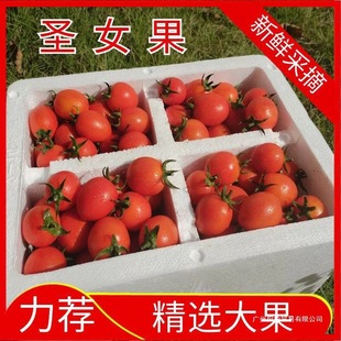 �t�}Ů��С����С���t�����r����ˮ���a��ֱ�����l5��3���Q�����l