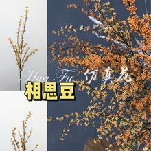 �߶˷�����˼�����y���͏d��̨�Ƶ��b���{��ɽ�w��������