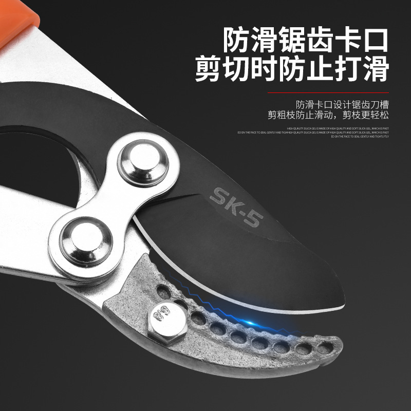 14825855747_1648187941