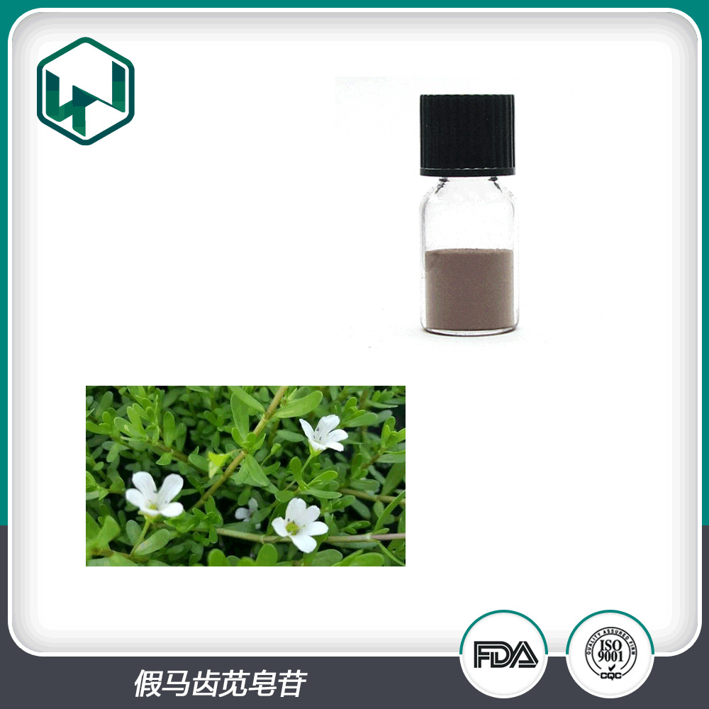 假马齿苋提取物 50%含量提取食品保健品原料 现货包邮欢迎采购