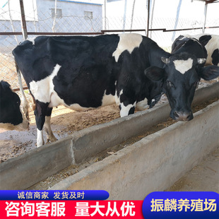 �ڰ׻���ţ�����u�� �������u��ţ�Ć���д�ĸţ�������