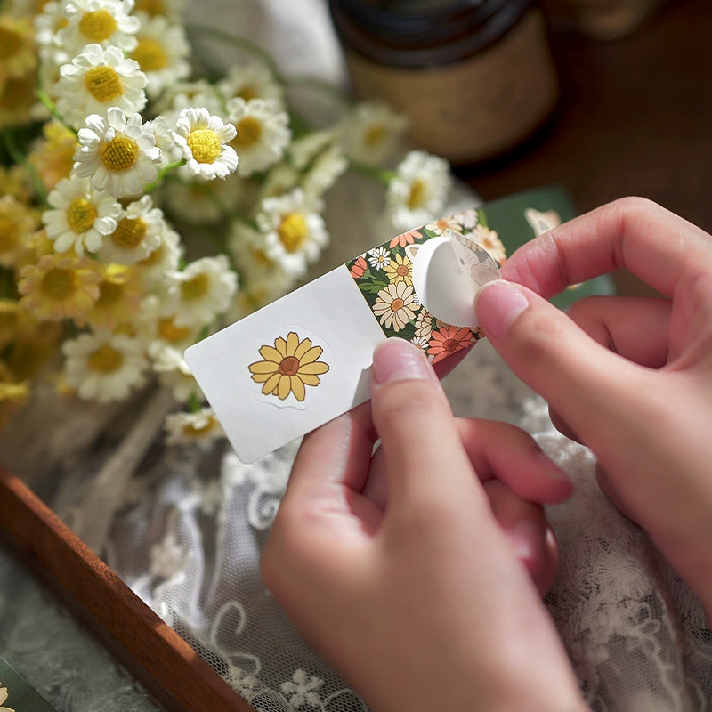 Greeting Card & Envelope Set, romantic fairy-tale designs, 8 motifs, DIY message stationery