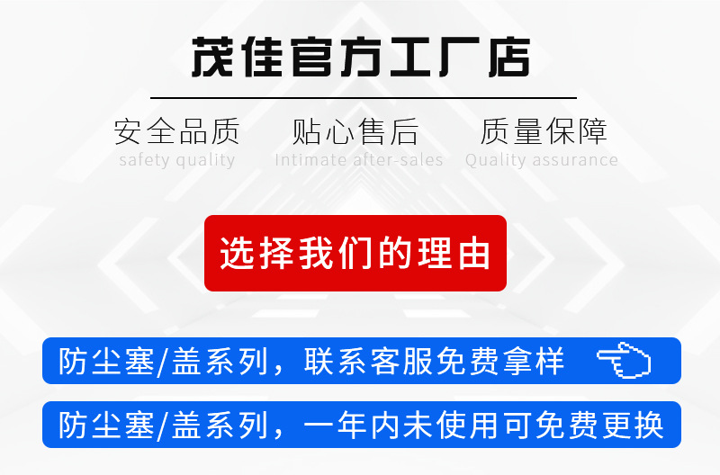 选择我们的理由(防尘塞头图).jpg