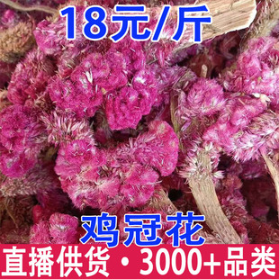 �u�ڻ� �u�ڻ� ���u�ڻ� �t�u�ڻ�  ���l