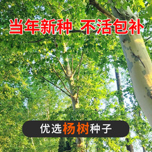 ��ë��N�ӗ��ë�ח�����N�����е���@�־G���ļ�