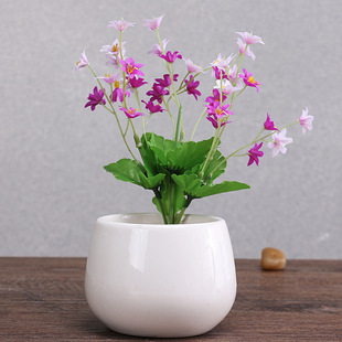 �F������ ��ɫ�մ� �Ҿ��b����컨�廨���� ��ɫ����CH013
