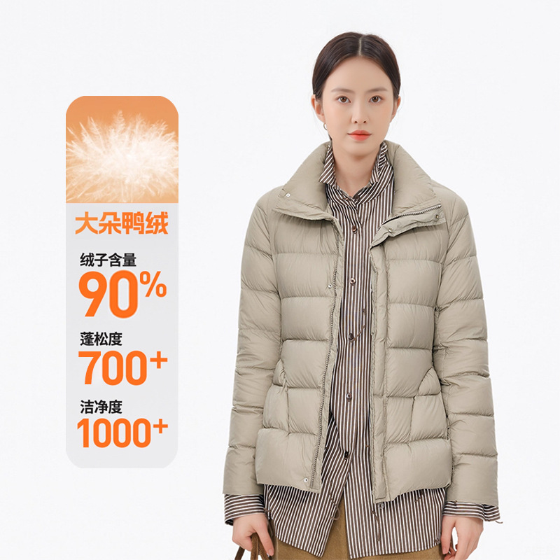 Jiangnan Style Stand Collar Waist-Cinching White Duck down Jacket for Women, New Autumn and Winter High-End Short Slimming Top Coat