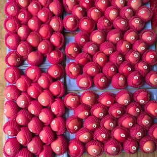 ���Sֱ�l2025���¹� ��ˬ����ˬ�ڣ��a��ֱ�l ��̨�t��ʿ�O������