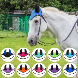 宠物项圈;狗狗牵引;马术用品