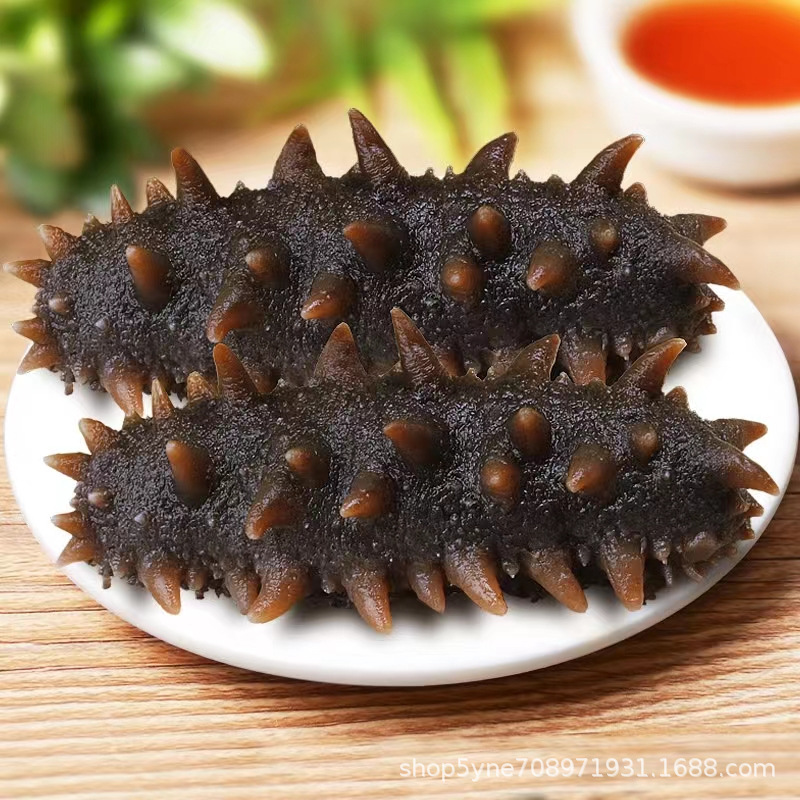 新鲜即食海参非辽刺参佛跳墙原料海参源头厂家批发一件代发