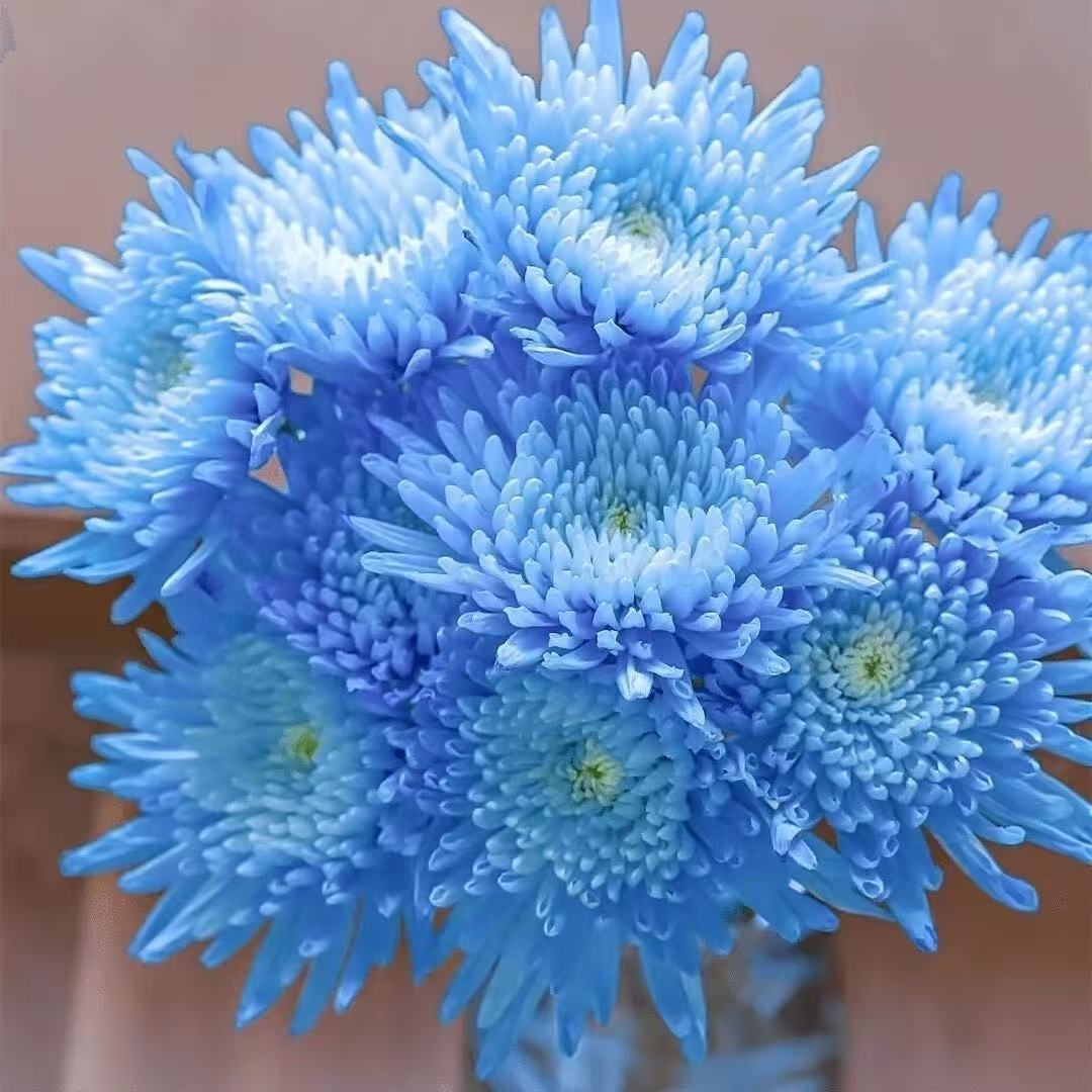 bb23216637487817844584451baf61