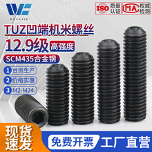 M2-M24 TUZ茂异12.9级无头内六角螺丝凹端机米止付紧定黑色螺钉