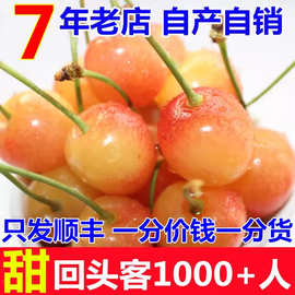 山东黄樱桃露天烟台黄水晶黄色黄蜜产黄金雷尼车厘子5水果新鲜