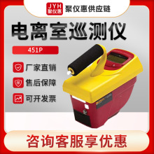 451P型γ射线X射线辐射测量仪 加压电离室巡测仪