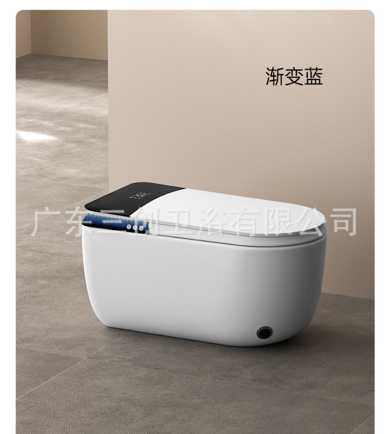 蹲坐二用智能马桶8012-详情页 (36).jpg