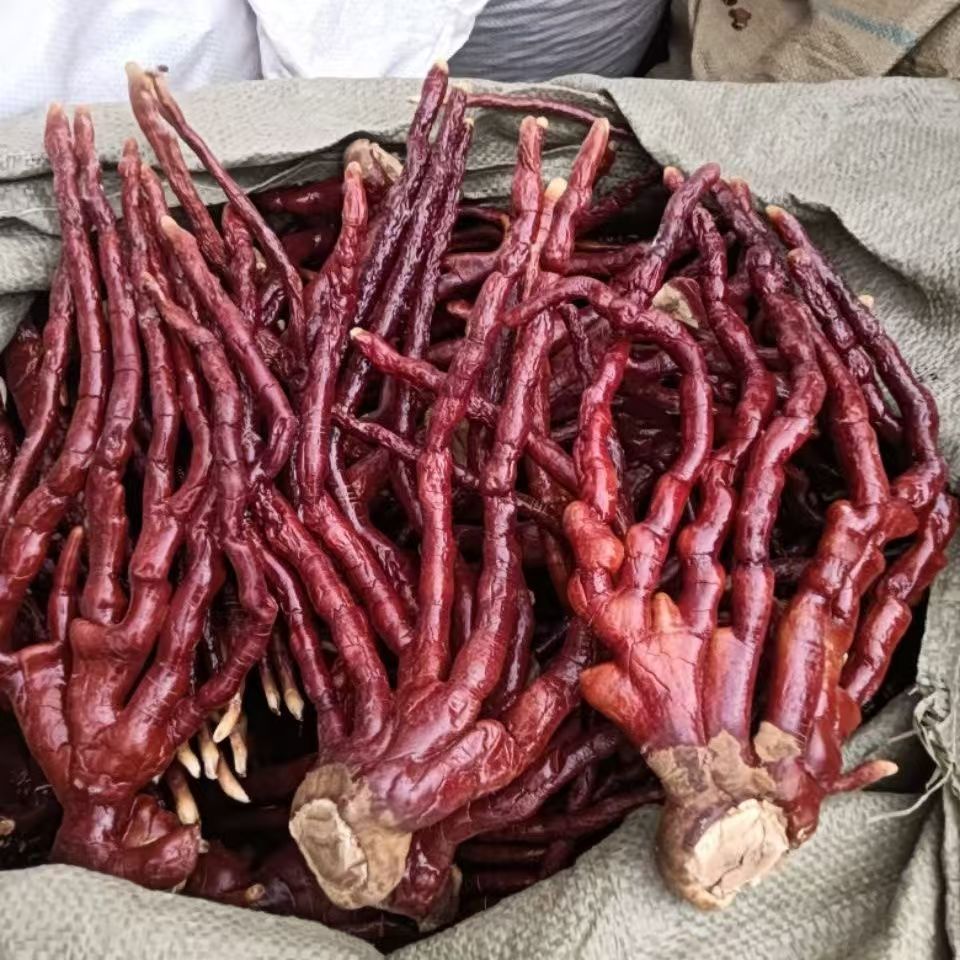 Deer Antler Lingzhi Whole Dried Reishi Mushroom Ganoderma lucidum 500g Changbai Mountain Herb quality and texture