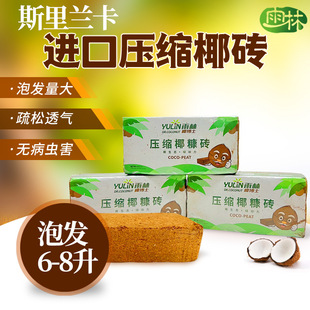 Nutrient soil Imported coconut bricks Large quantities of flowers Organic fleshy orchids Cultivation soil Coconut soil Flower soil
