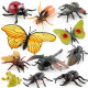 Cross-border simulation insect animal model children's science and education butterfly Dragonfly ladybug frog mantis scorpion centipede ornaments