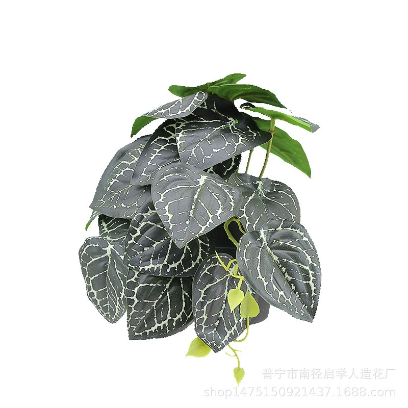 В наличии Поставка Моделирование Зеленое Растение 3D Печать Черепаха Лист Растение Домашнее Украшение Интерьера Свадебное Растение Подходящие Материалы Стены