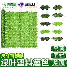 �羳����Gֲ��s�h�ʾW����h���~���̨�ř�ֲ���ٗl�����o��