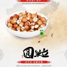 现货低温烘焙肇庆芡实干货开边圆粒芡实鸡头米食用农产品肇实供应
