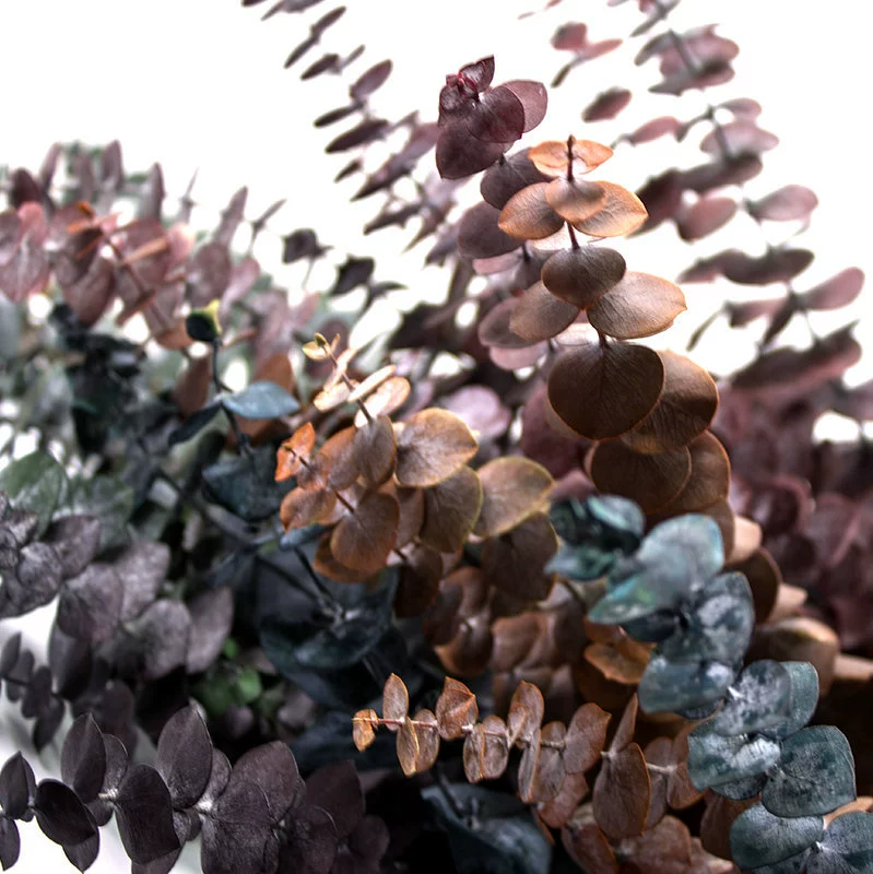 Eternal Life Eugali Leaf Dried Flower Material Eucalyptus Copper Copper Net Red Home Decoration Material Eugar Leaf