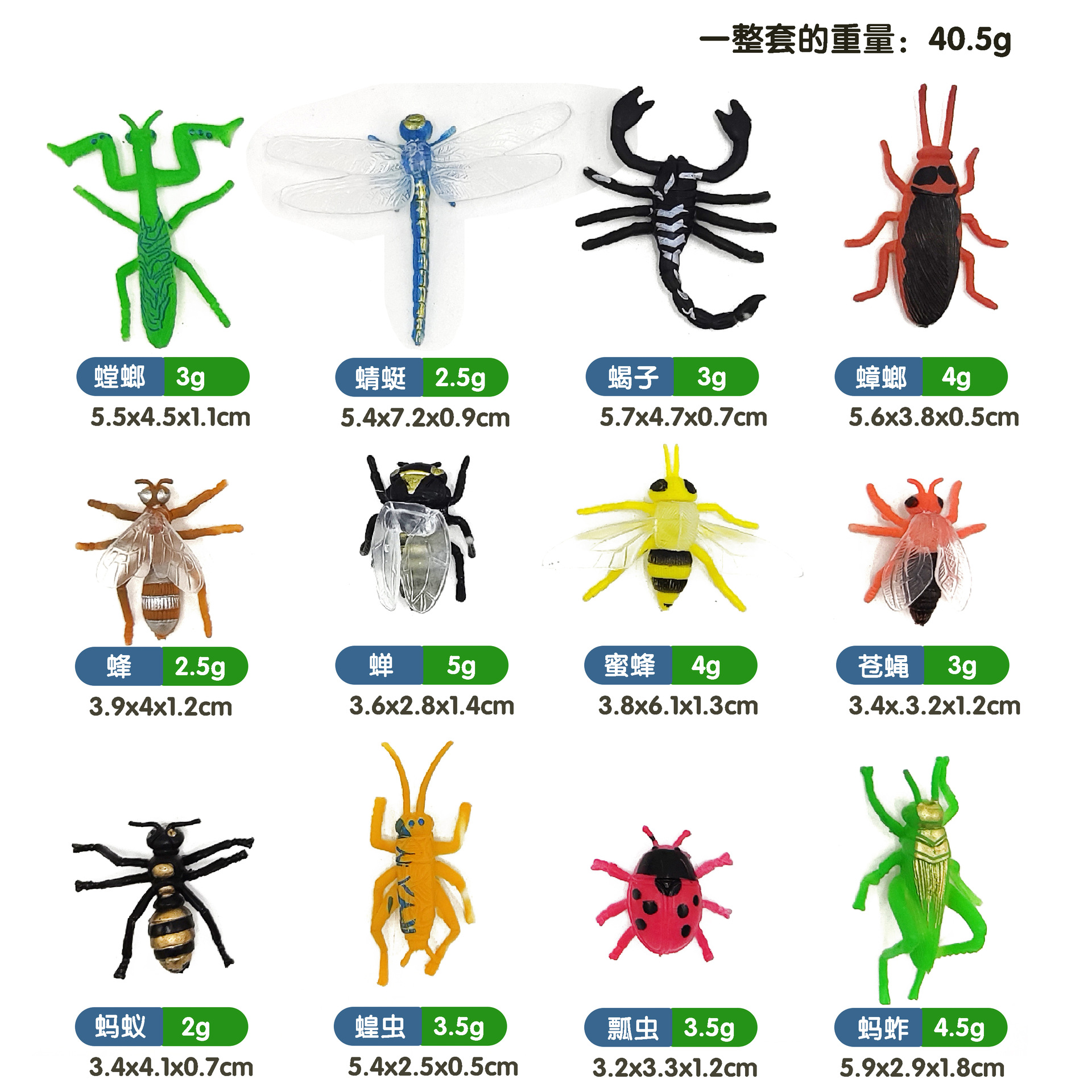 迷你昆虫尺寸图