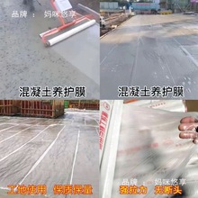 ����Ĥ�B�o��Ĥ��Ĥ���B���ϱ�Ĥ�������B�oĤ���B���o���w�B��Ĥ