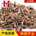 全虫1000克华美中药材批发供应淡盐清水蝎子新货源头厂家量大从优