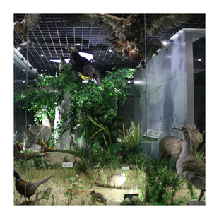 Traditional Chinese Medicine Museum Model Museum Supporting Ecological Park Feed Practical Model Pasture Model