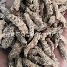 水洗僵蚕,别名白僵蚕、僵虫、天虫，大货批发中药材水洗僵蚕