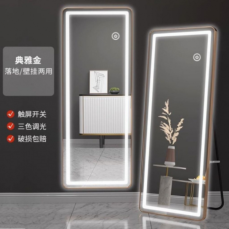 High-Definition Led Lighted Full-Length Mirror with Frame, Popular Dressing Mirror, Floor-Standing and Wall-Mounted Dual-Use Mirror, Touch-Sensitive Illuminated Dressing Mirror