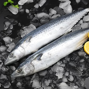 ���u���E�~���E�R�o�~�ش�̖��~�~���r�ش����l���乤�S�ͶY