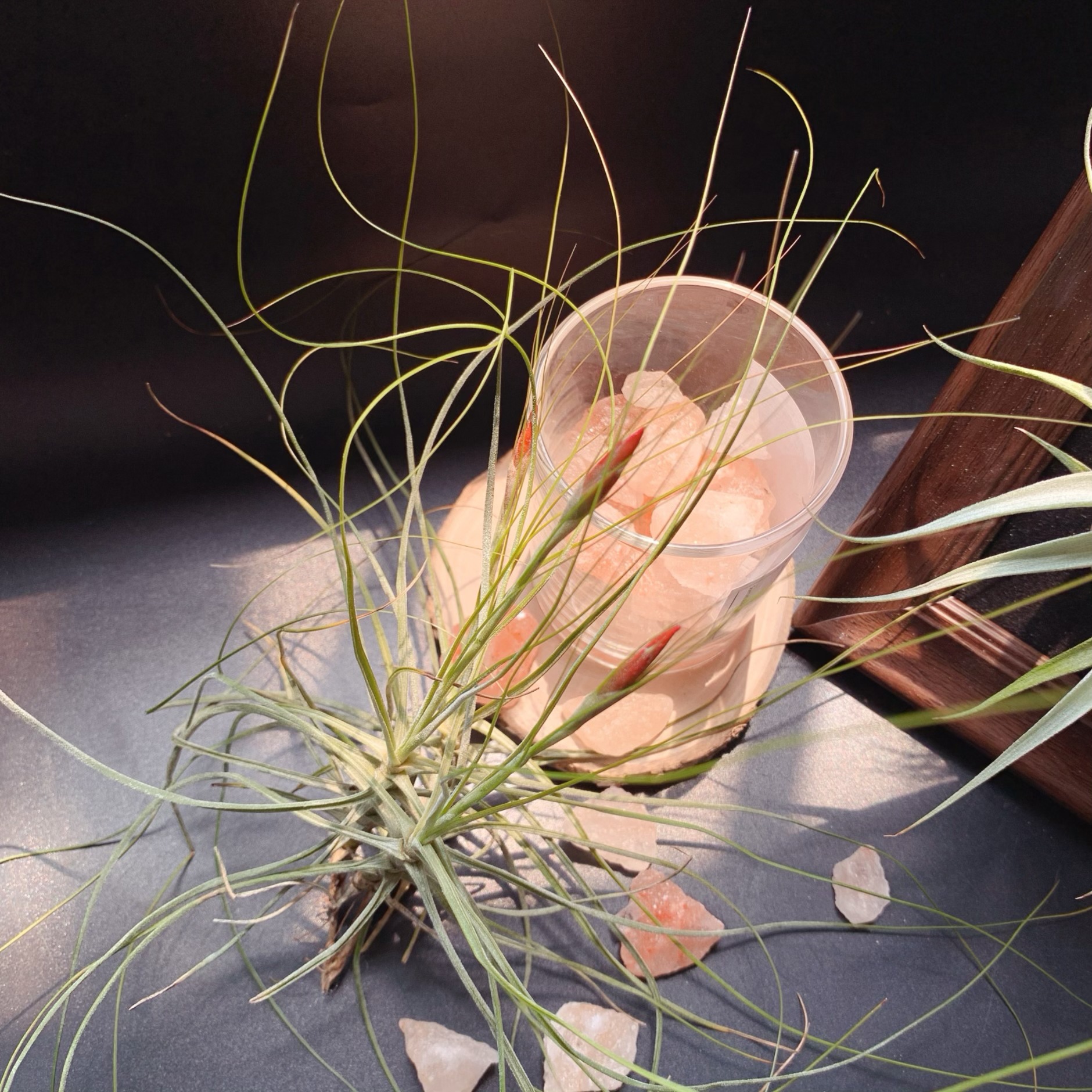 微信图片_20240426123918