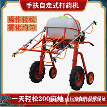 ʽșC 4ׇU8^ СʽַFC